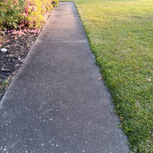 20250414_191028